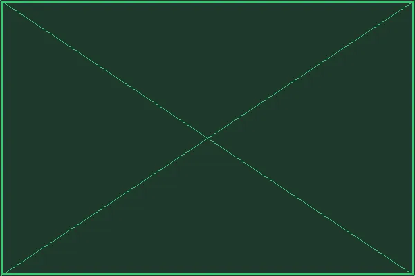 精灵酒馆大厅全景 - 赏金女王模拟器